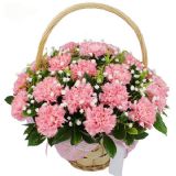 抚州鲜花速递